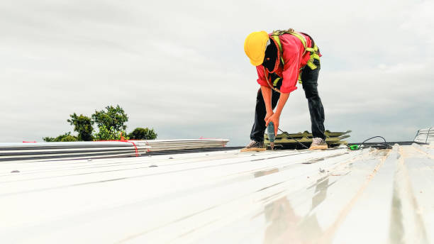 Roof Insulation Installation in Lexington, TX